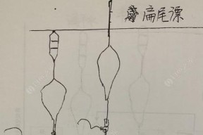 如何掌握钓鱼调漂技巧？教程教学有哪些常见问题解答？