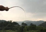 干枯鱼塘钓鱼技巧有哪些？如何提高钓获率？