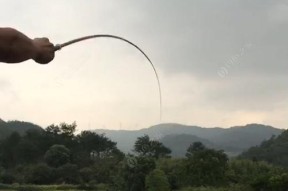干枯鱼塘钓鱼技巧有哪些？如何提高钓获率？