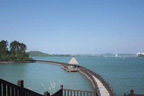 防城港西湾沙滩钓鱼技巧有哪些？如何提高钓鱼成功率？