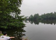 公园钓鱼新手必备技巧（快速掌握公园钓鱼技巧）