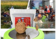浮水颗粒钓黑坑鲤鱼技巧有哪些？如何提高钓鲤鱼的成功率？