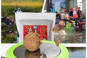 浮水颗粒钓黑坑鲤鱼技巧有哪些？如何提高钓鲤鱼的成功率？
