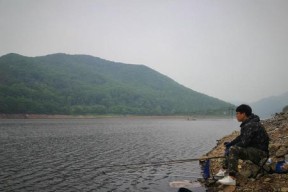 肥水钓鱼技巧要不要打窝？打窝的正确方法是什么？