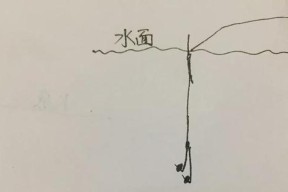 非常简单的台钓法调漂技巧是什么？如何快速掌握？
