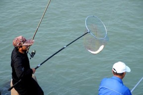 掌握钓线的对接方法，让钓鱼技巧更上一层楼（钓线对接方法详解，助你成为钓鱼高手）