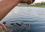 钓鱼艇风浪中行驶技巧与方法（应对恶劣天气下钓鱼艇行驶的实用技巧与安全注意事项）