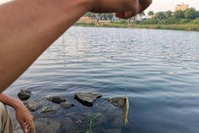 钓鱼艇风浪中行驶技巧与方法（应对恶劣天气下钓鱼艇行驶的实用技巧与安全注意事项）
