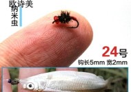 飞蝇毛钩钓鱼技巧和方法有哪些？如何提高钓鱼成功率？