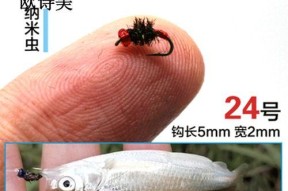 飞蝇毛钩钓鱼技巧和方法有哪些？如何提高钓鱼成功率？