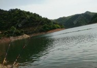 野塘钓鱼技巧大揭秘（钓鱼高手教你如何针对性钓鱼）