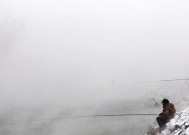 如何正确调整钓鱼灵敏度？掌握这些技巧能提高渔获吗？