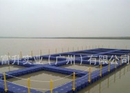 浮台手竿钓鱼技巧教程？如何提高浮台手竿钓鱼的成功率？