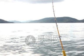 海上钓鱼技巧大揭秘（从钓鱼装备到技术要点）