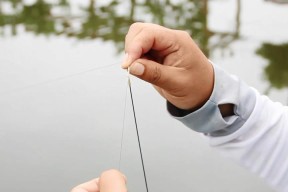 钓鱼调漂最佳方案和技巧是什么？如何掌握这些技巧？