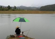 黑坑大板鲫垂钓技巧是什么？如何提高垂钓成功率？