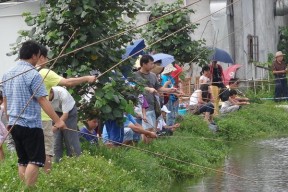 如何高效钓小龙虾？掌握这些技巧了吗？