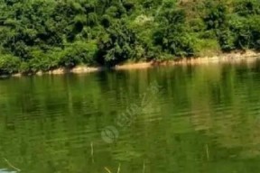 海南大水库钓鱼技巧与方法（探秘海南大水库钓鱼的窍门与策略）