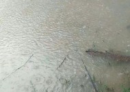 下雨天钓鱼的技巧（掌握降雨情况）
