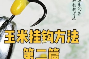 夏天钓鱼技巧大揭秘（夏季钓鱼的好时机与技巧）