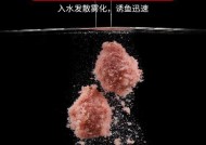 浮钓鲢鳙时如何选择合适的饵料和钓具？有哪些常见问题需要注意？