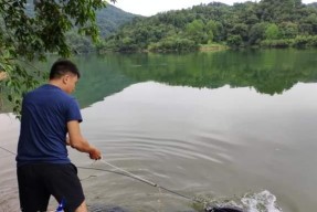 雨天钓鱼技巧（让你在雨天享受钓鱼的乐趣）