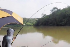钓鱼的技巧俗语是什么？如何应用到实际垂钓中？