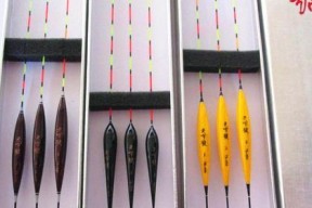 不用浮漂钓鱼技巧教学？如何提高钓鱼成功率？