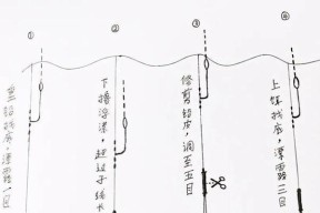 钓鱼调漂技巧的常见问题有哪些？如何解决？