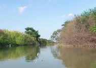 如何提高钓鱼扬竿技巧？掌握这4个技巧轻松钓大鱼！
