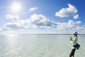 夏天筏竿钓鱼技巧有哪些？如何提高夏季筏钓成功率？
