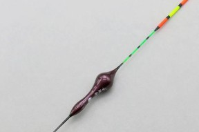 手竿钓鲢鳙浮漂动作技巧（精通手竿钓鲢鳙）