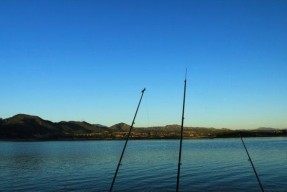 探秘银岭水库钓鱼技巧（钓鱼专家教你轻松钓获丰收）
