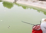 黑坑钓鱼调漂的正确方法与技巧是什么？如何掌握这些技巧？