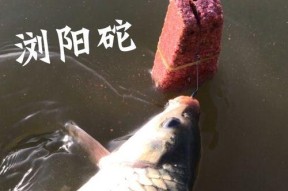 飞毛腿钩钓鱼技巧有哪些？如何提高飞毛腿钩的钓鱼效率？
