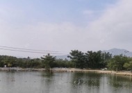 福州黑坑钓鱼技巧有哪些？如何提高钓鱼成功率？