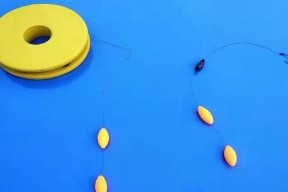 初学钓鱼必学技巧——享受钓鱼乐趣的新手指南（钓鱼新手必备技巧）
