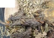 甘松钓鱼的方法有哪些？如何提高甘松钓鱼技巧？