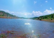 简易流水钓鱼技巧（掌握流水钓鱼的诀窍）