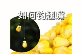 钓鱼上饵的小技巧（提高钓鱼成功率的有效方法）