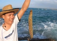 赶海钓鱼小技巧有哪些？如何提高钓鱼效率？