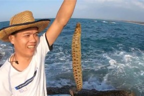 赶海钓鱼小技巧有哪些？如何提高钓鱼效率？