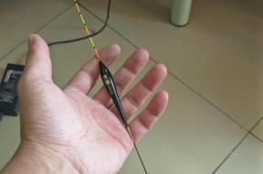 浮标钓鲤鱼技巧和方法有哪些？如何提高钓鲤鱼的成功率？