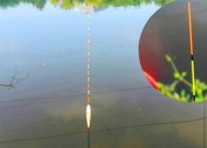 黑坑调漂钓浮技巧教程？如何快速掌握？