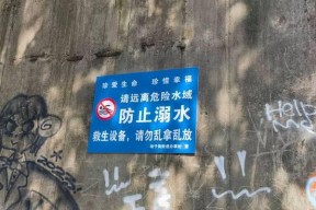 汉江江中钓鱼技巧（掌握好鱼情）