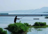 钓鱼高手的调高钓低技巧（揭秘高效的调整策略，成功应对不同水域情况）