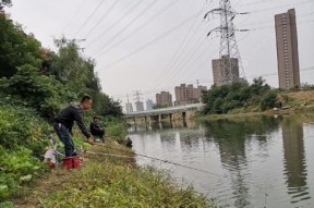 大风阴天钓鱼技巧（逆境中捕获丰富渔获，技巧与经验分享）