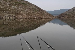 星界边境钓鱼进阶技巧解析（高级技巧助你成为钓鱼达人）
