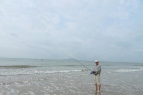 秘制沙丁鱼钓鱼方法与技巧（精通秘制沙丁鱼钓鱼）