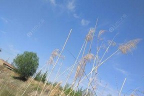 佛系钓鱼上分技巧是什么？如何快速提高钓鱼技能？